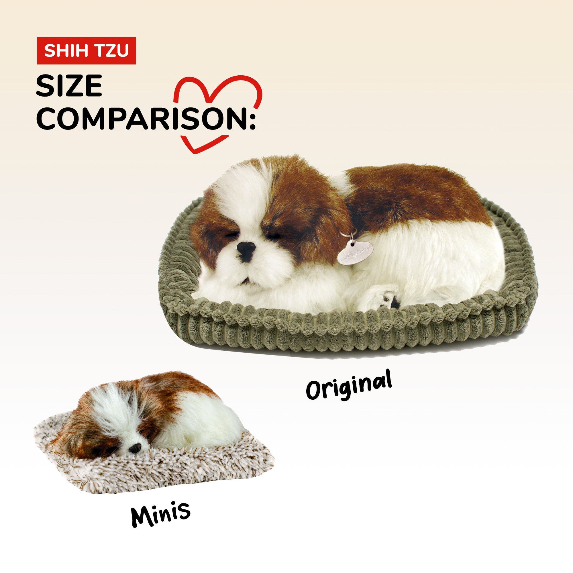 Mini Shih Tzu Perfect Petzzz - image 9