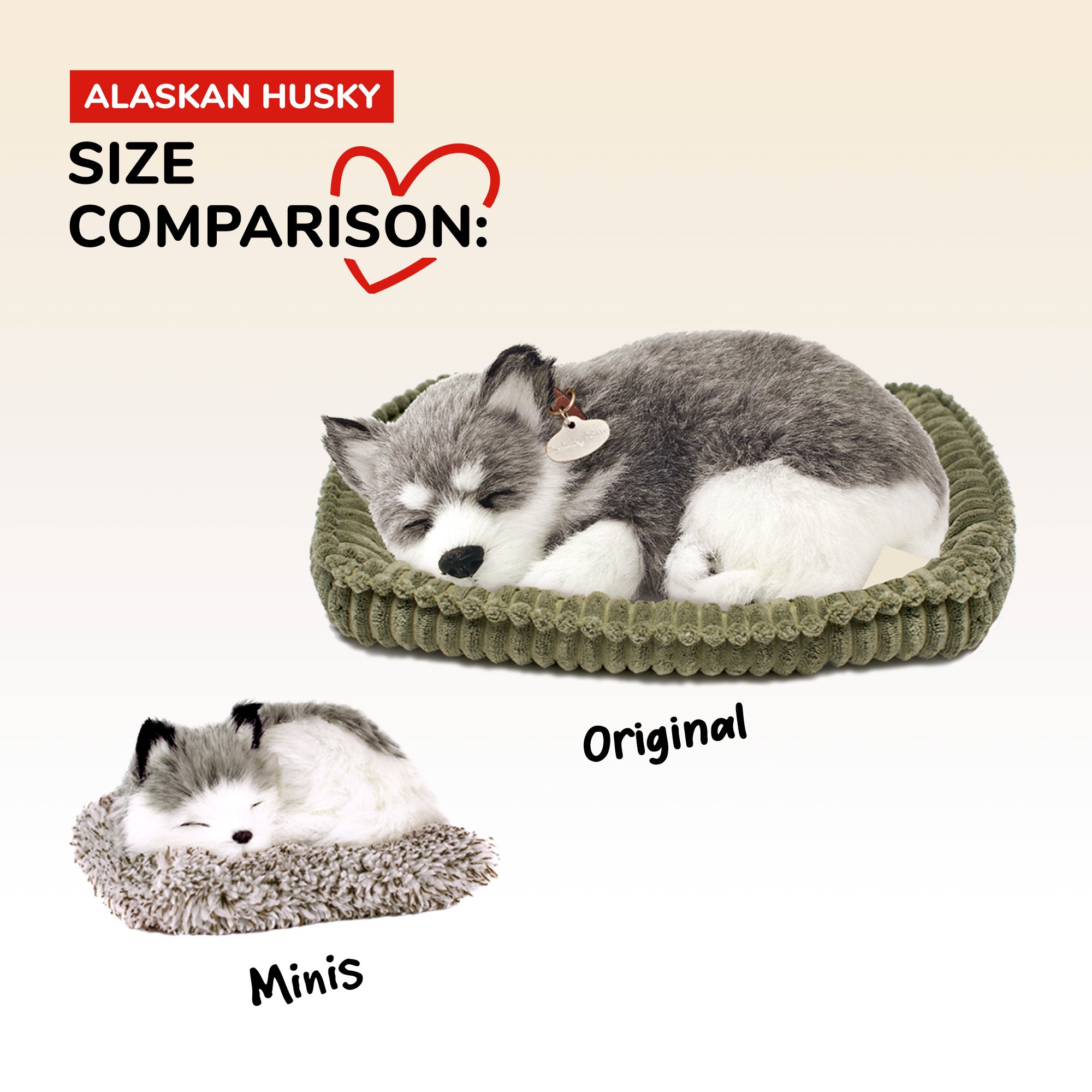 Mini Alaskan Husky Perfect Petzzz - image 9