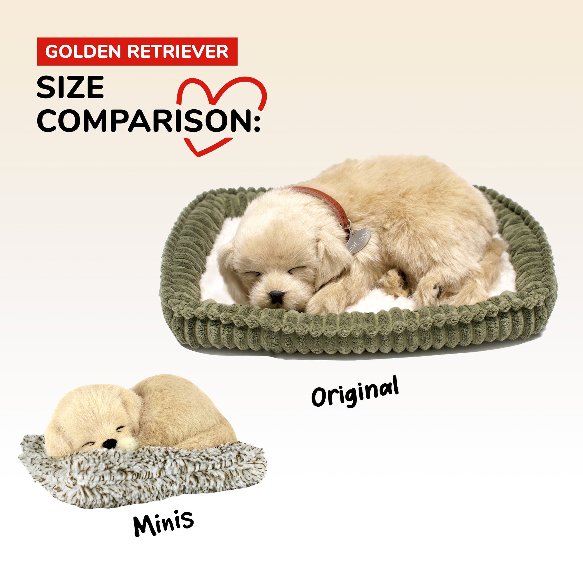 Mini Golden Retriever Perfect Petzzz - image 9