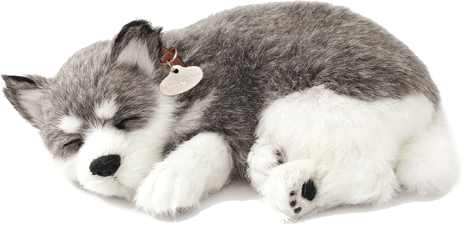 Original Alaskan Husky Perfect Petzzz - image 2