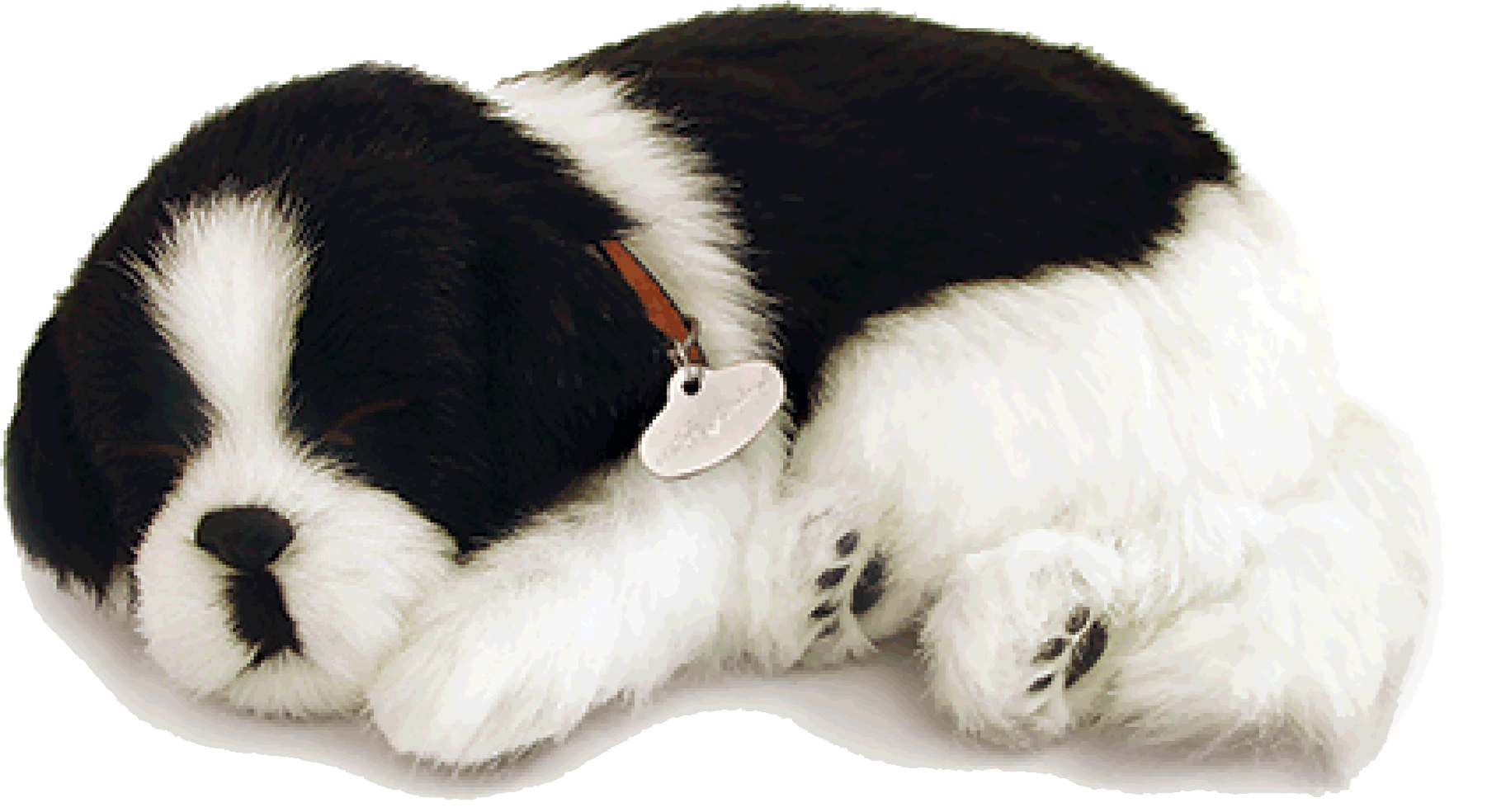 Original Border Collie Perfect Petzzz