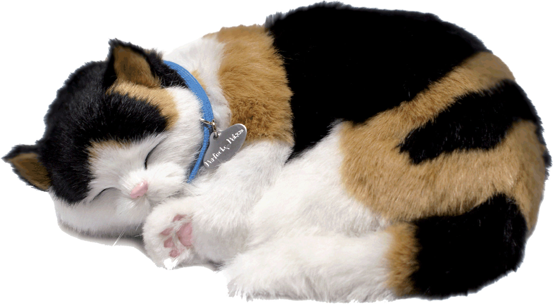 Original Calico Kitten Perfect Petzzz - image 2