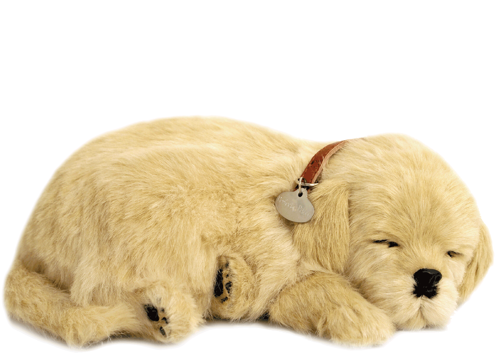 Original Golden Retriever Perfect Petzzz - image 2