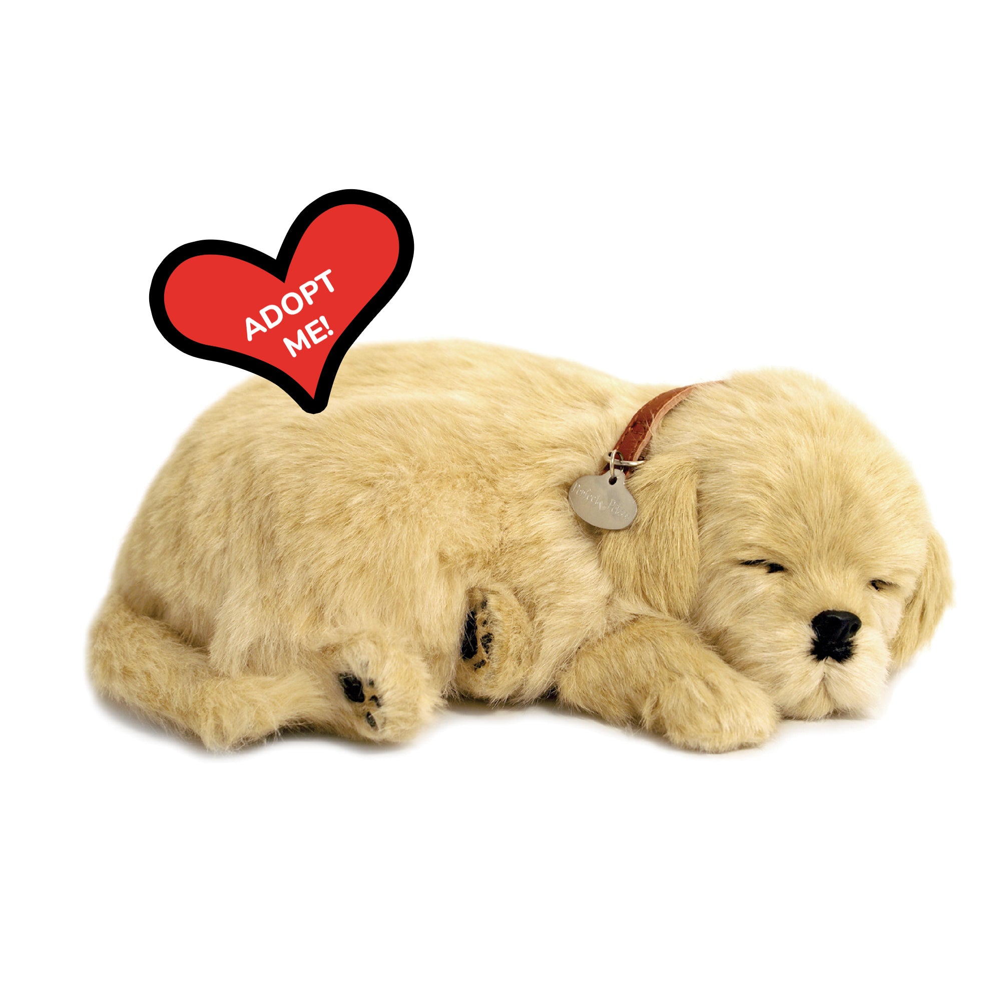 Original Golden Retriever Perfect Petzzz