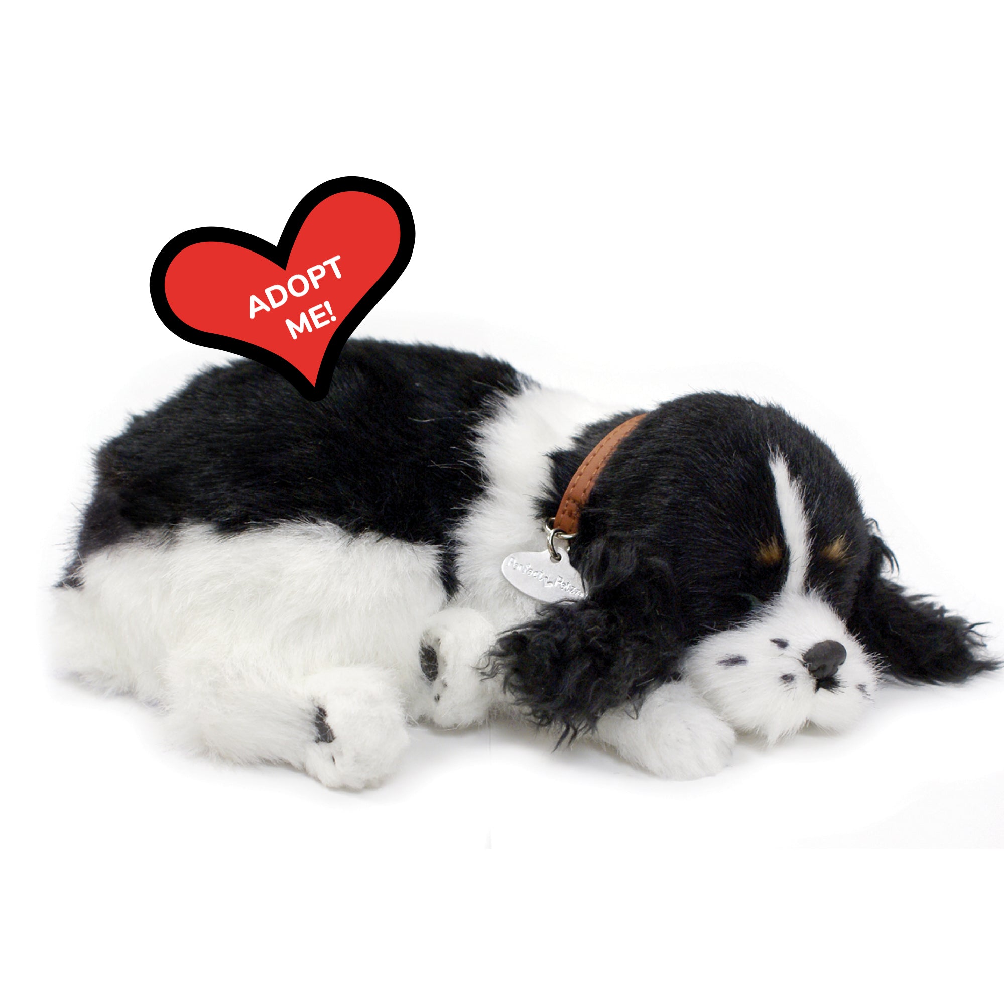 Original Cocker Spaniel Perfect Petzzz