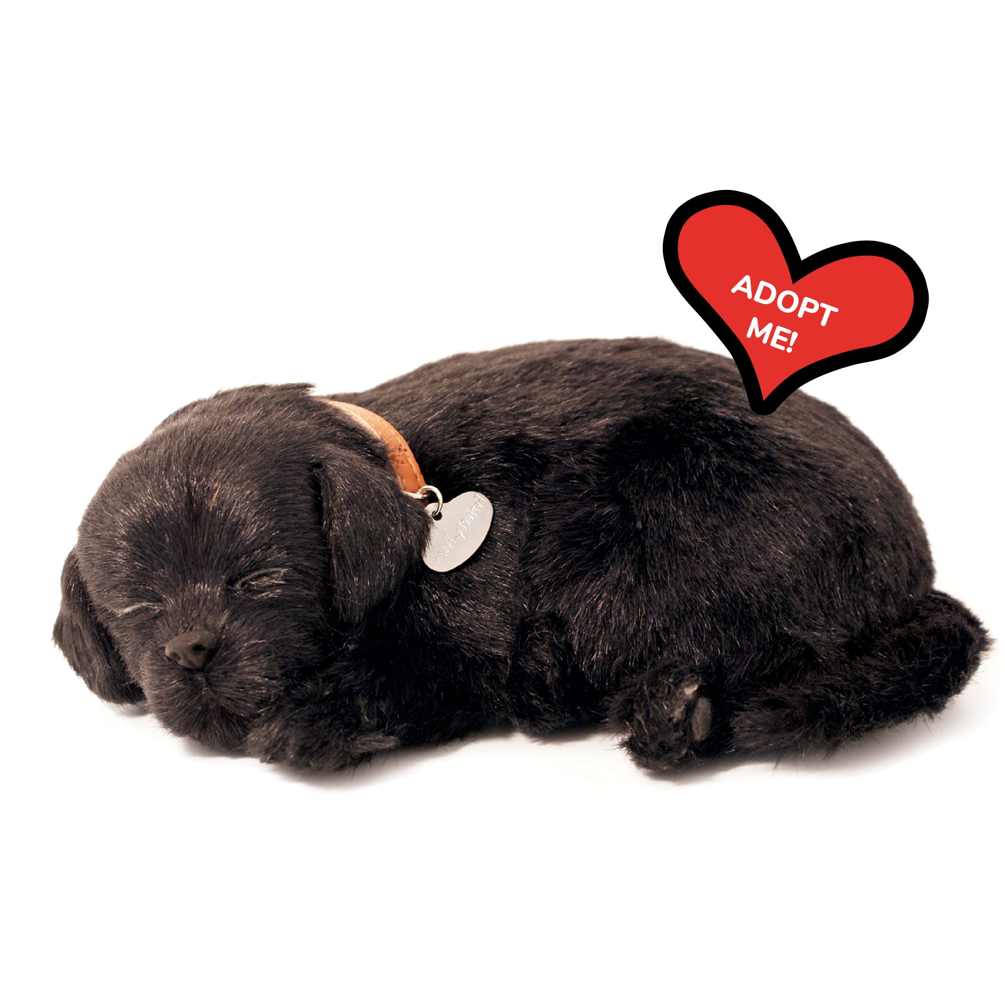 Original Black Lab Perfect Petzzz