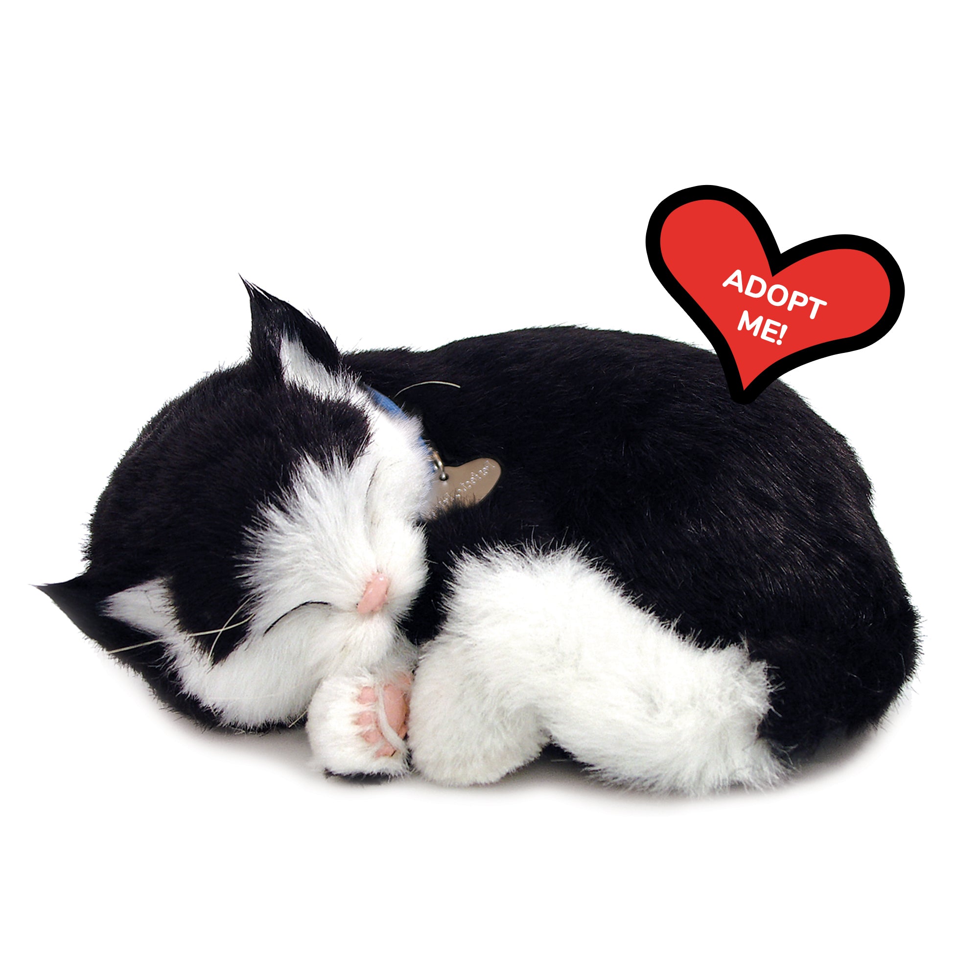 Original Black & White Kitten Perfect Petzzz