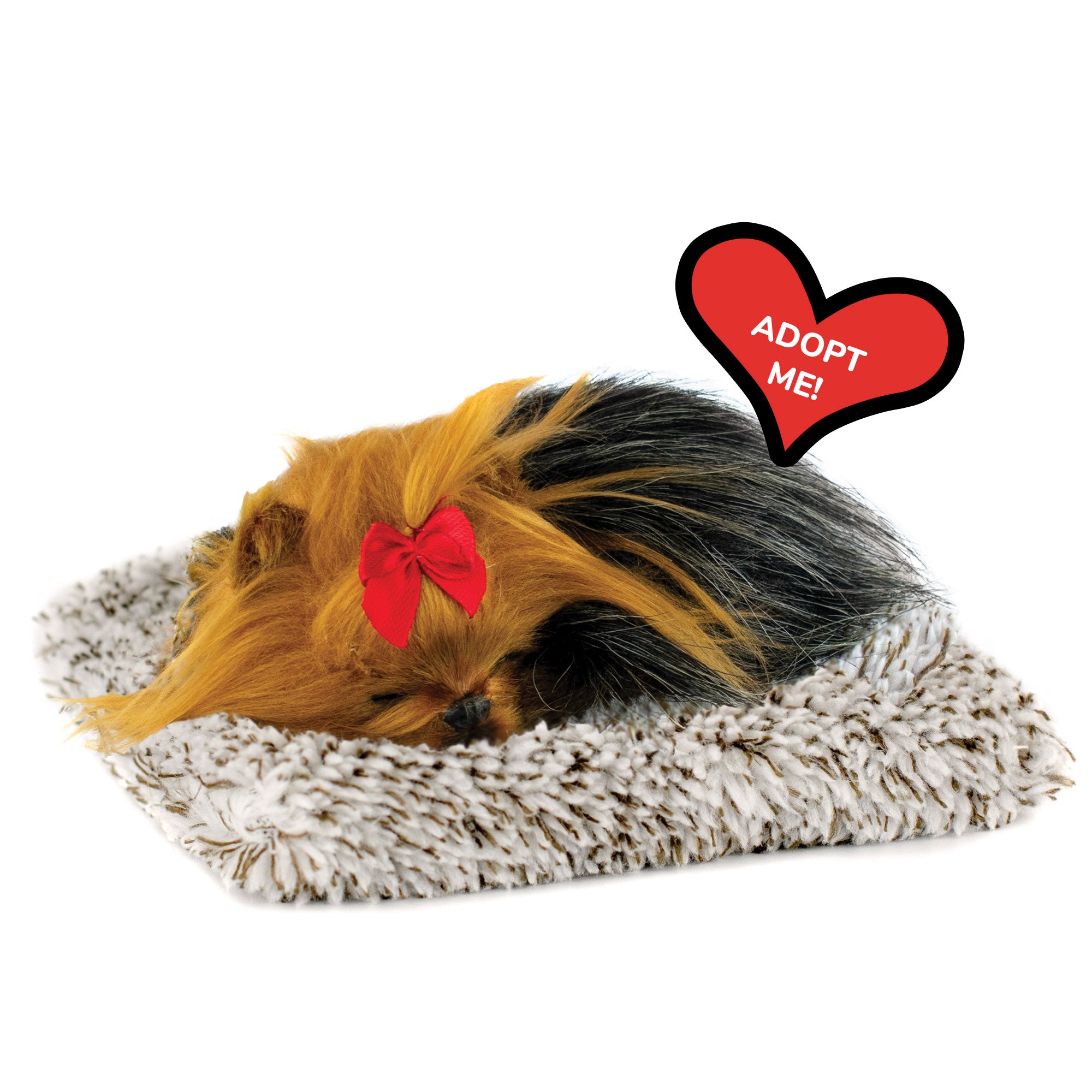Mini Yorkie Perfect Petzzz - image 10