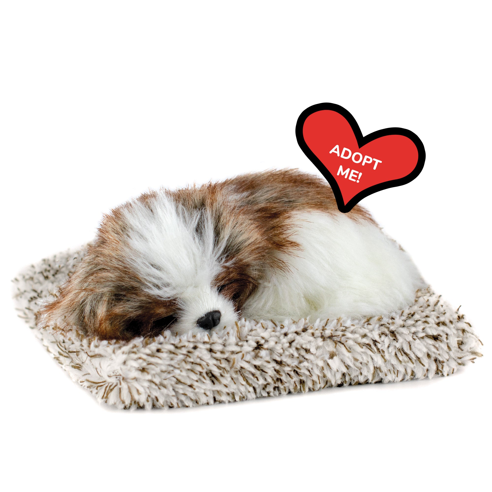 Mini Shih Tzu Perfect Petzzz - image 10