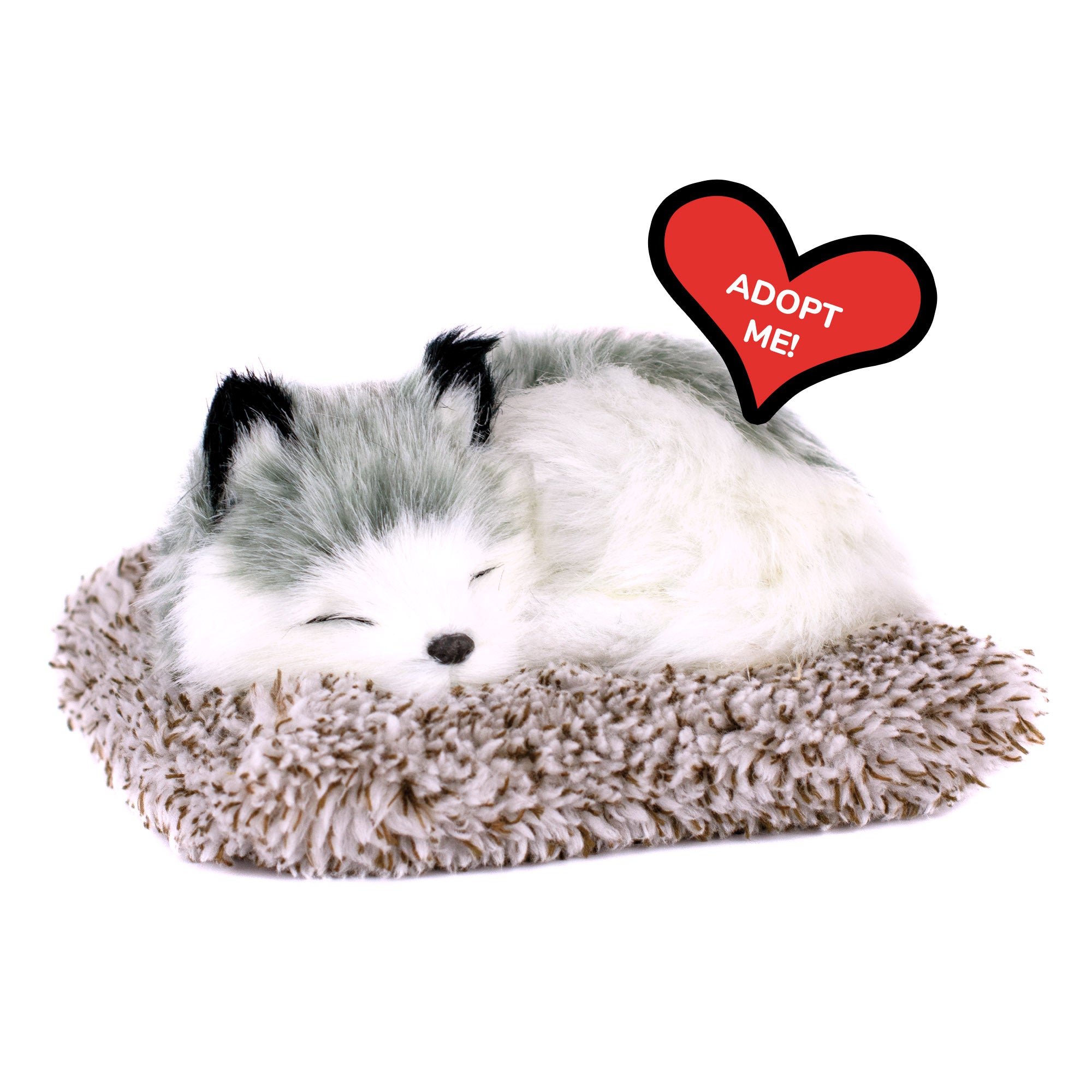 Mini Alaskan Husky Perfect Petzzz - image 10
