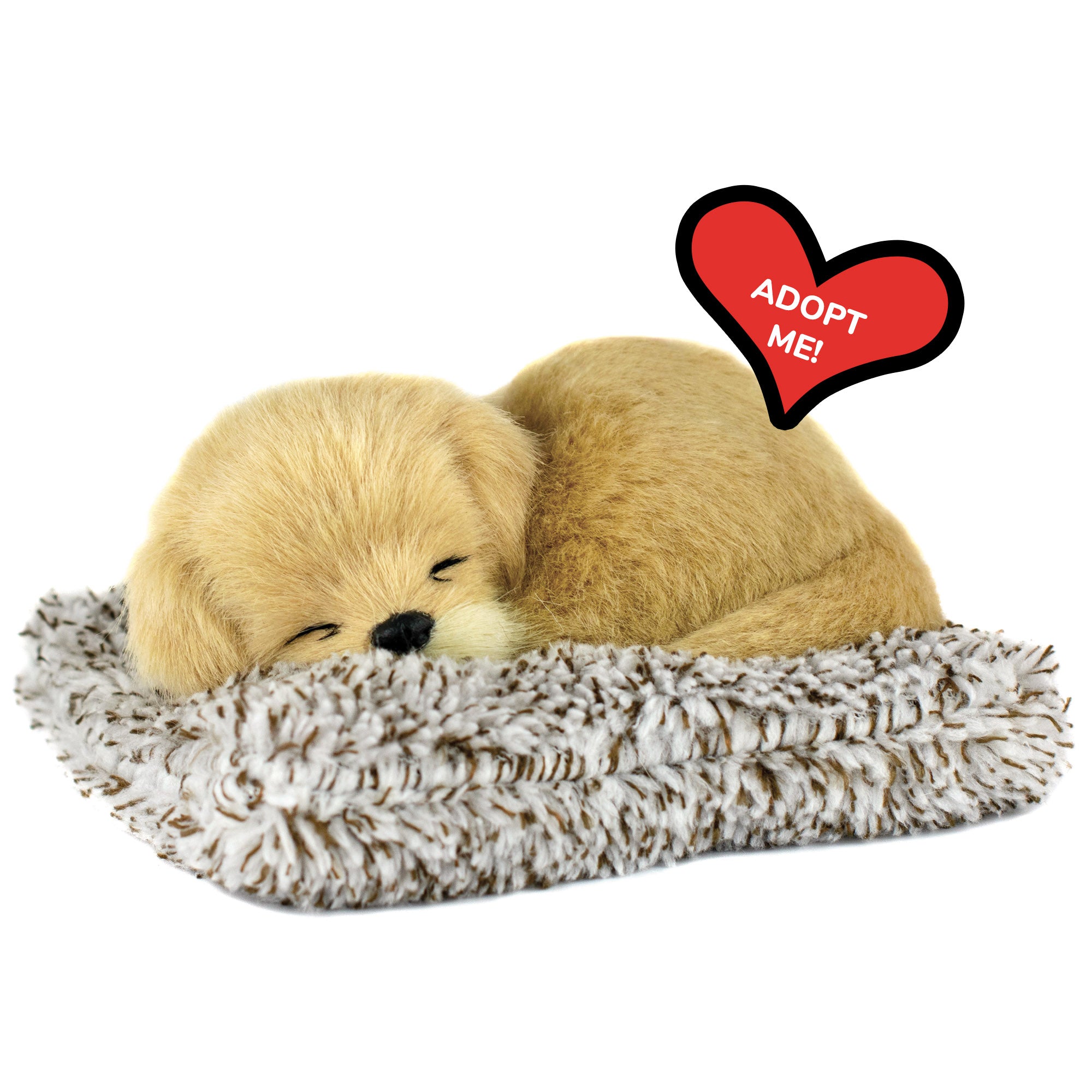 Mini Golden Retriever Perfect Petzzz