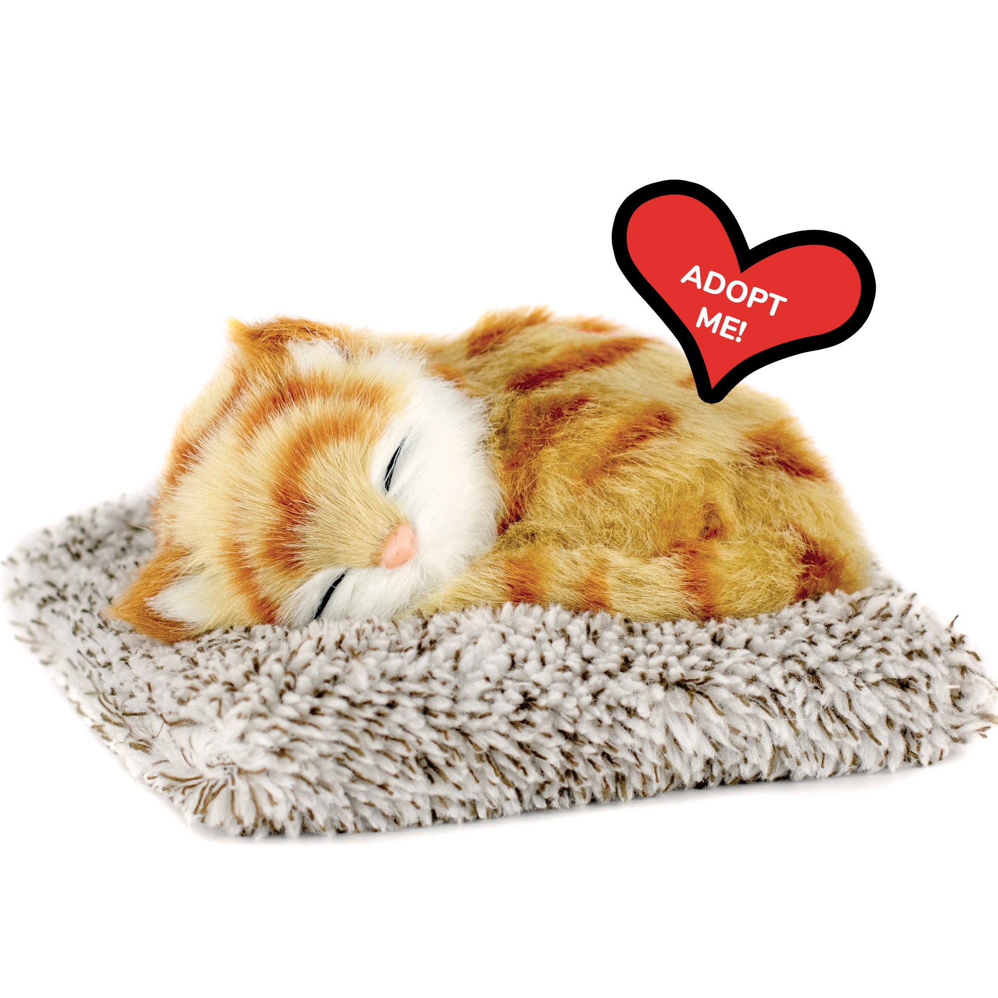 Mini Orange Tabby Kitten Perfect Petzzz - image 10