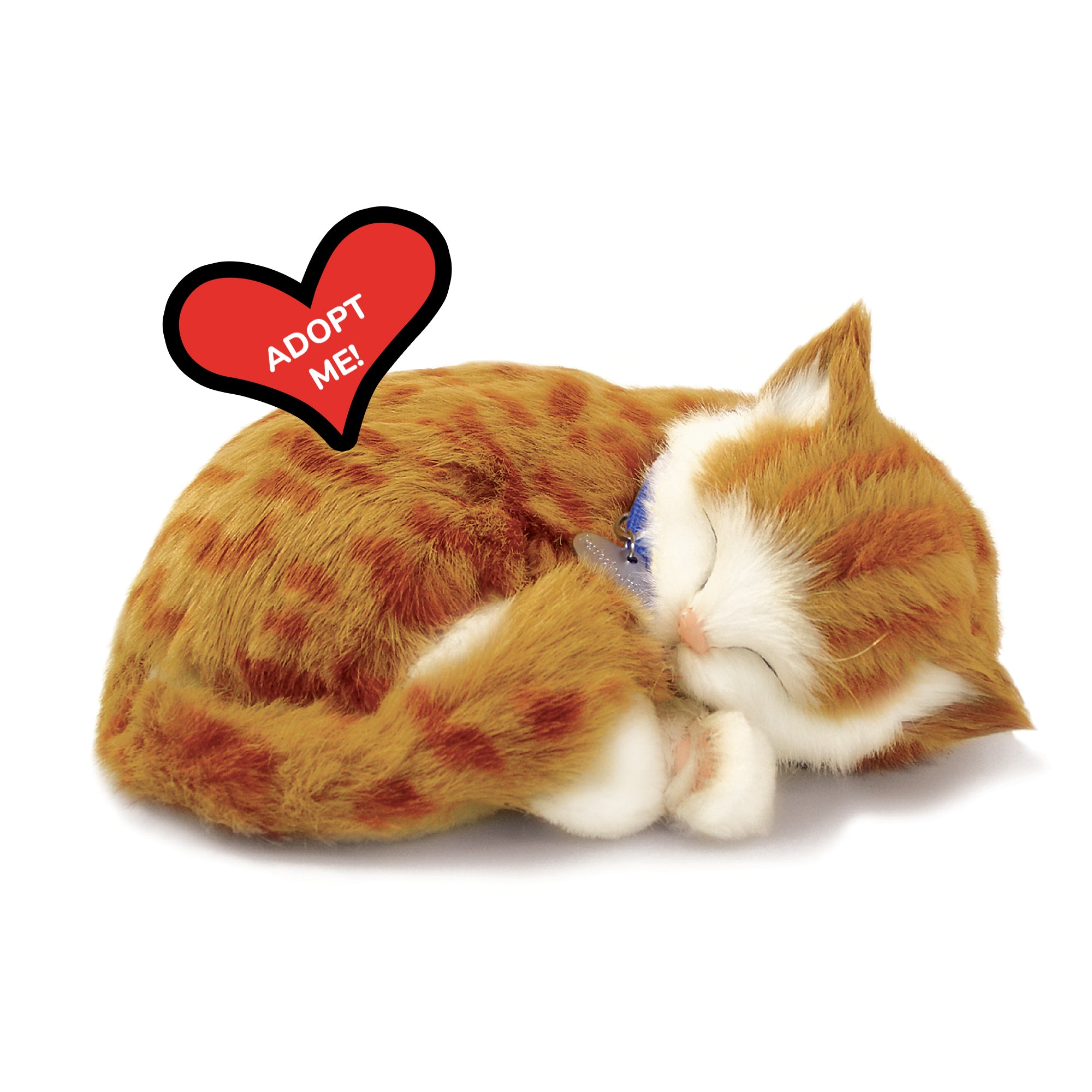 雨　PET Original Orange Tabby Kitten Perfect Petzzz
