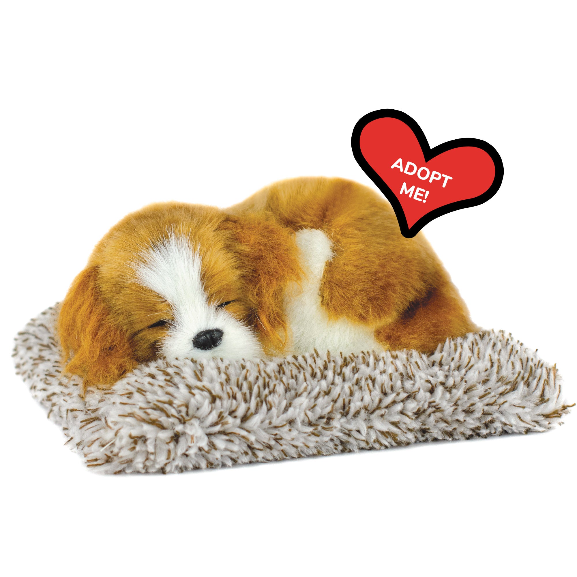 Mini Cavalier King Charles Perfect Petzzz - image 10
