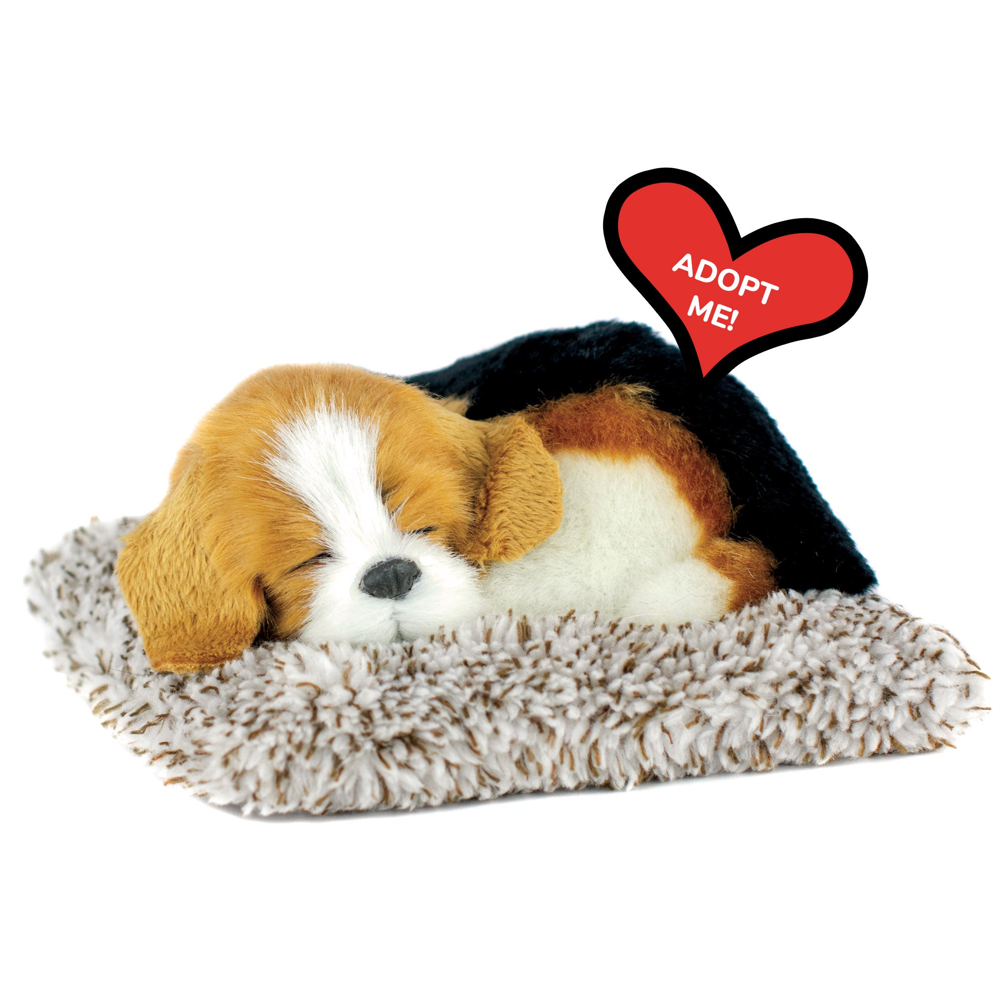 Mini Beagle Perfect Petzzz