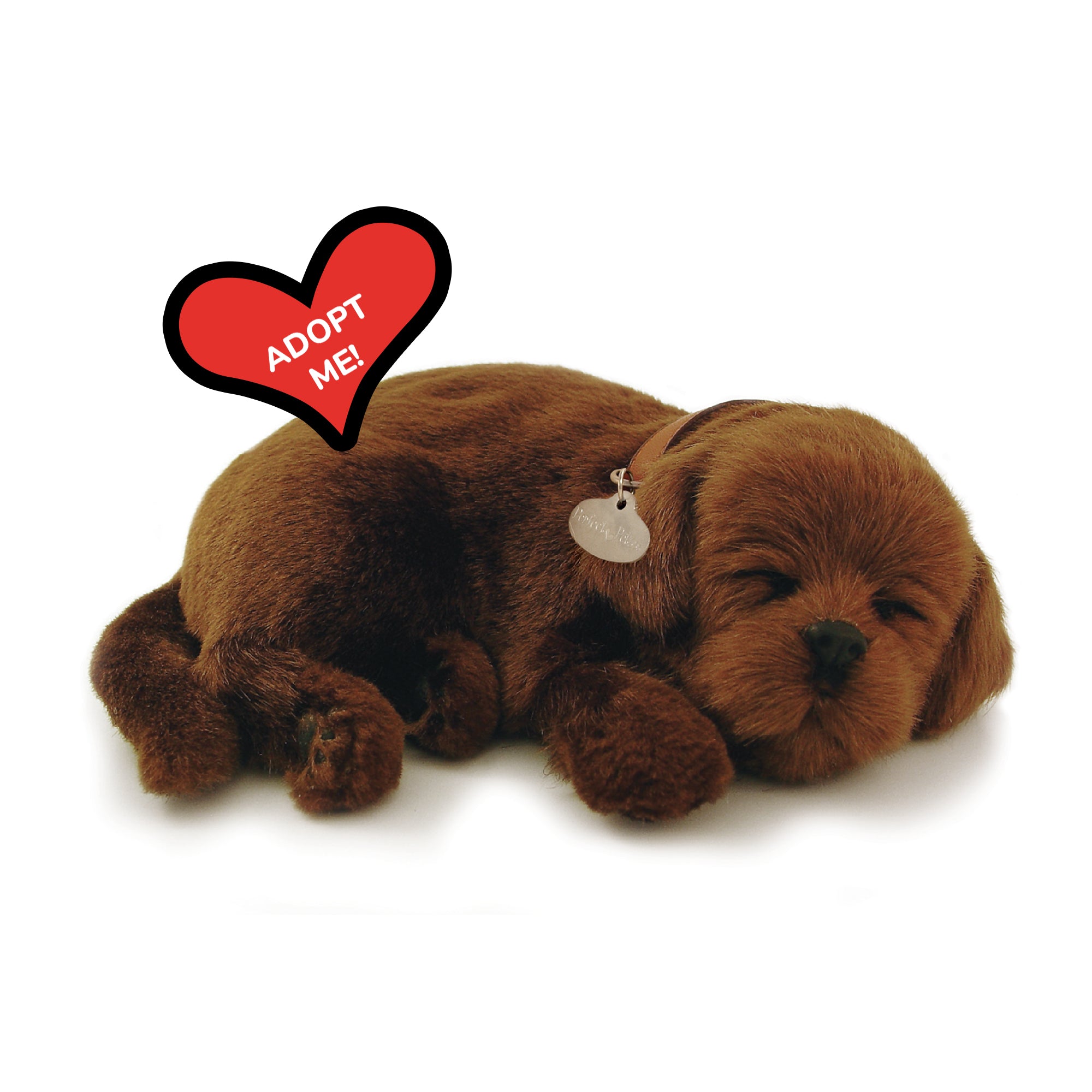 Original Chocolate Lab Perfect Petzzz