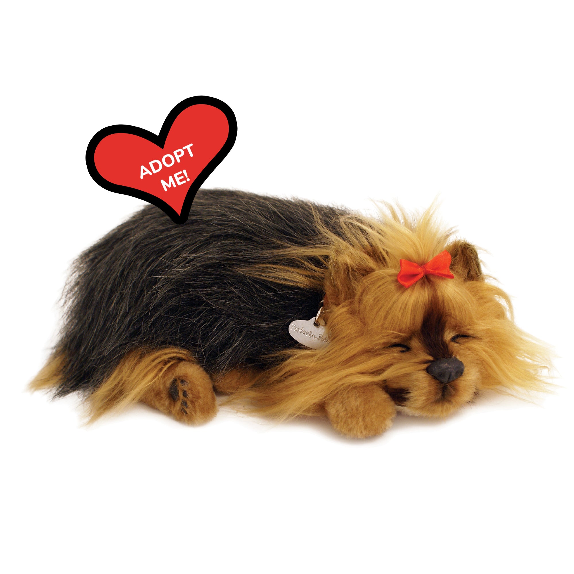 Original Yorkie Perfect Petzzz