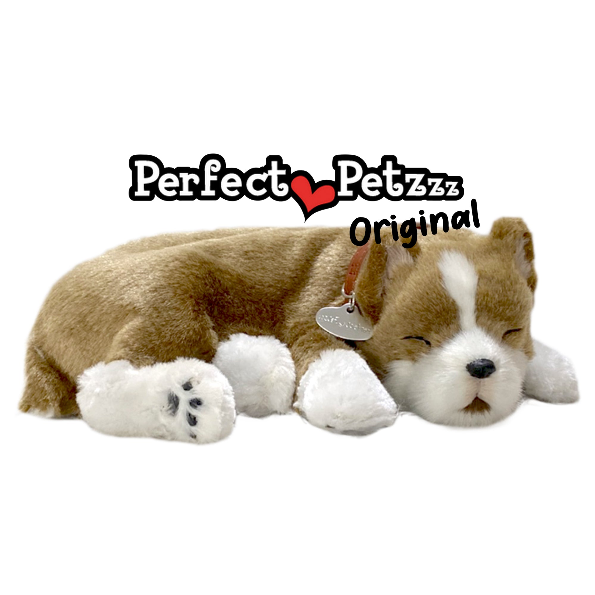 EURO　PET　ユーロペット　スクイーキートイ　ソフビフィギア　フルーツセット Vibrant Life Squeaky Fruit Dog Toy, Assorted Designs including