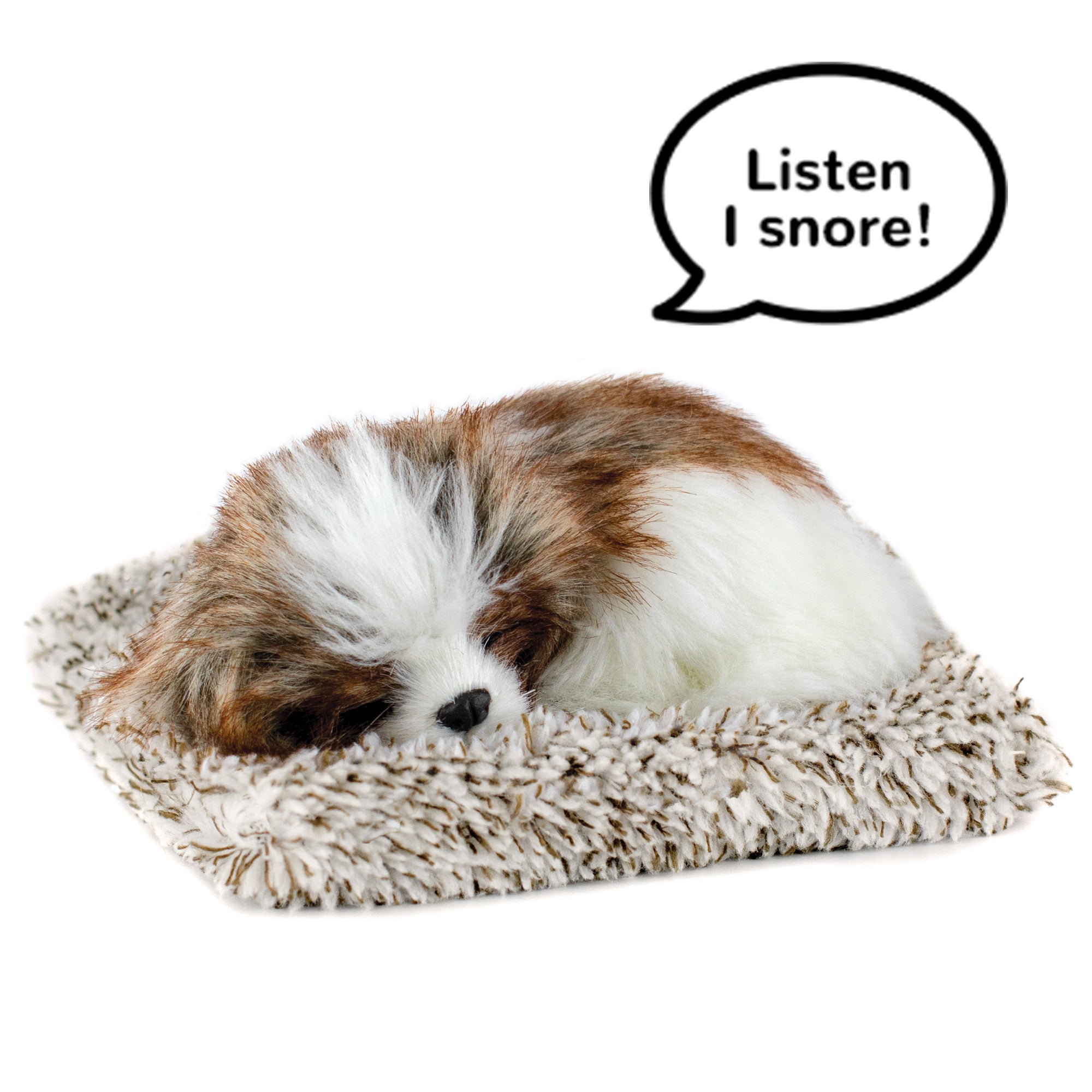 Main-B-Shih-Tzu.jpg?v=