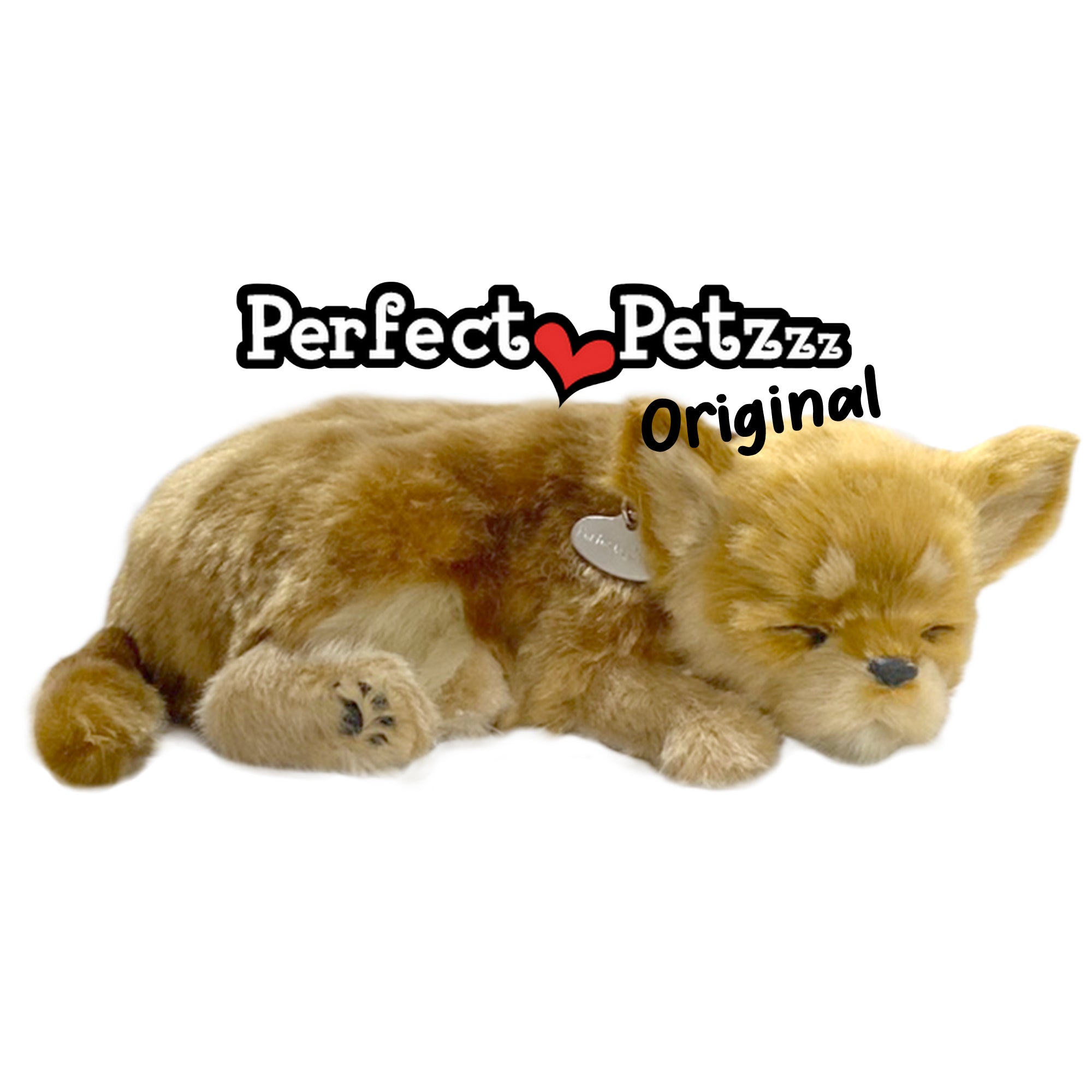 Original Chihuahua Perfect Petzzzz