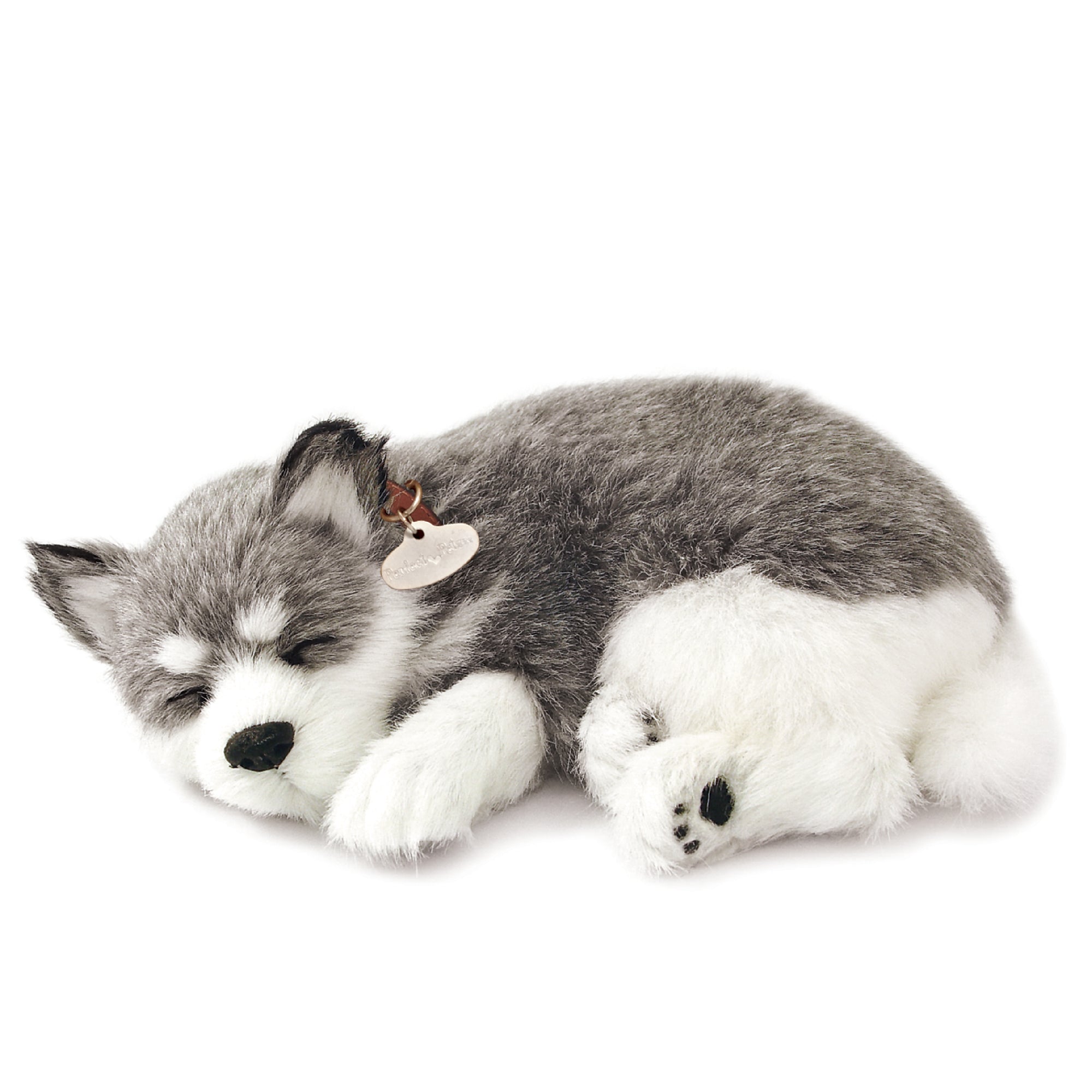 Original Alaskan Husky Perfect Petzzz - image 9