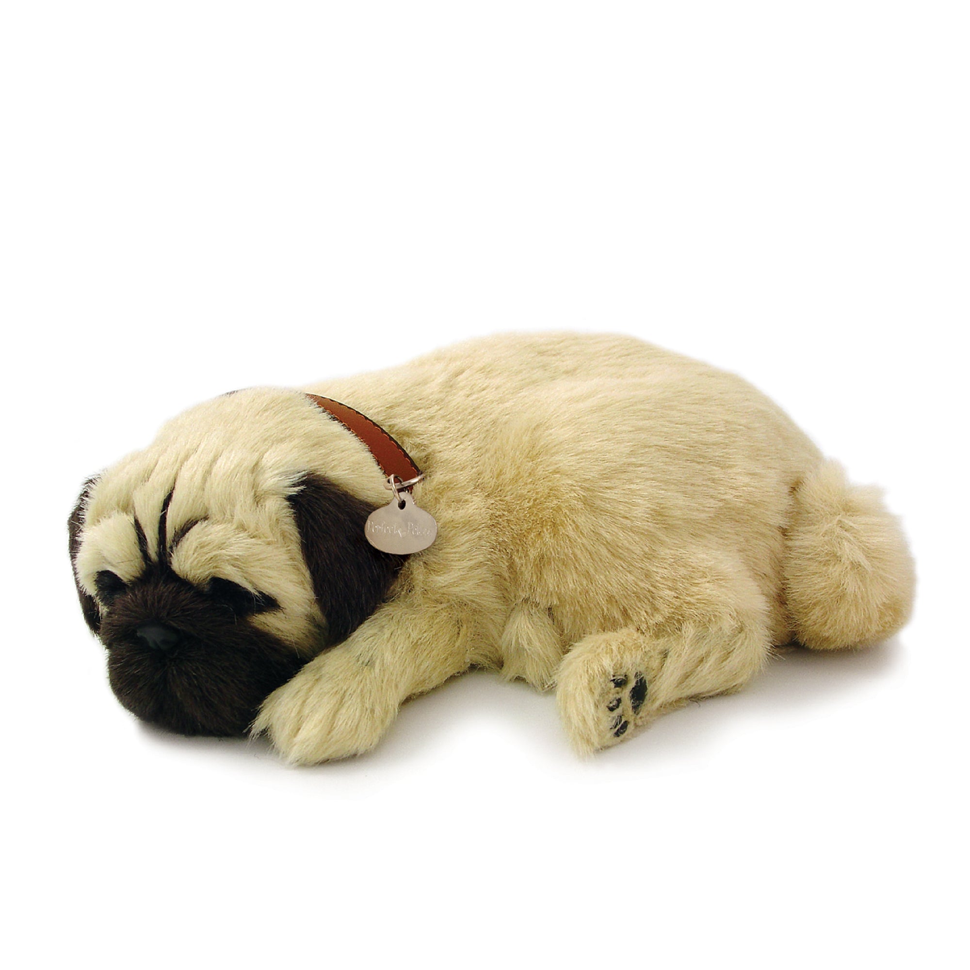 ❤️ PUGさま❤️ Original Pug Perfect Petzzz