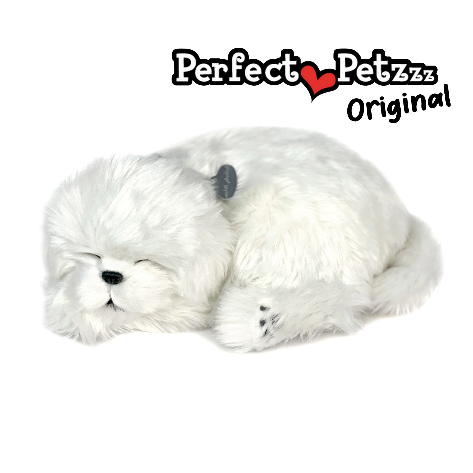 Perfect Petzzz Maltese