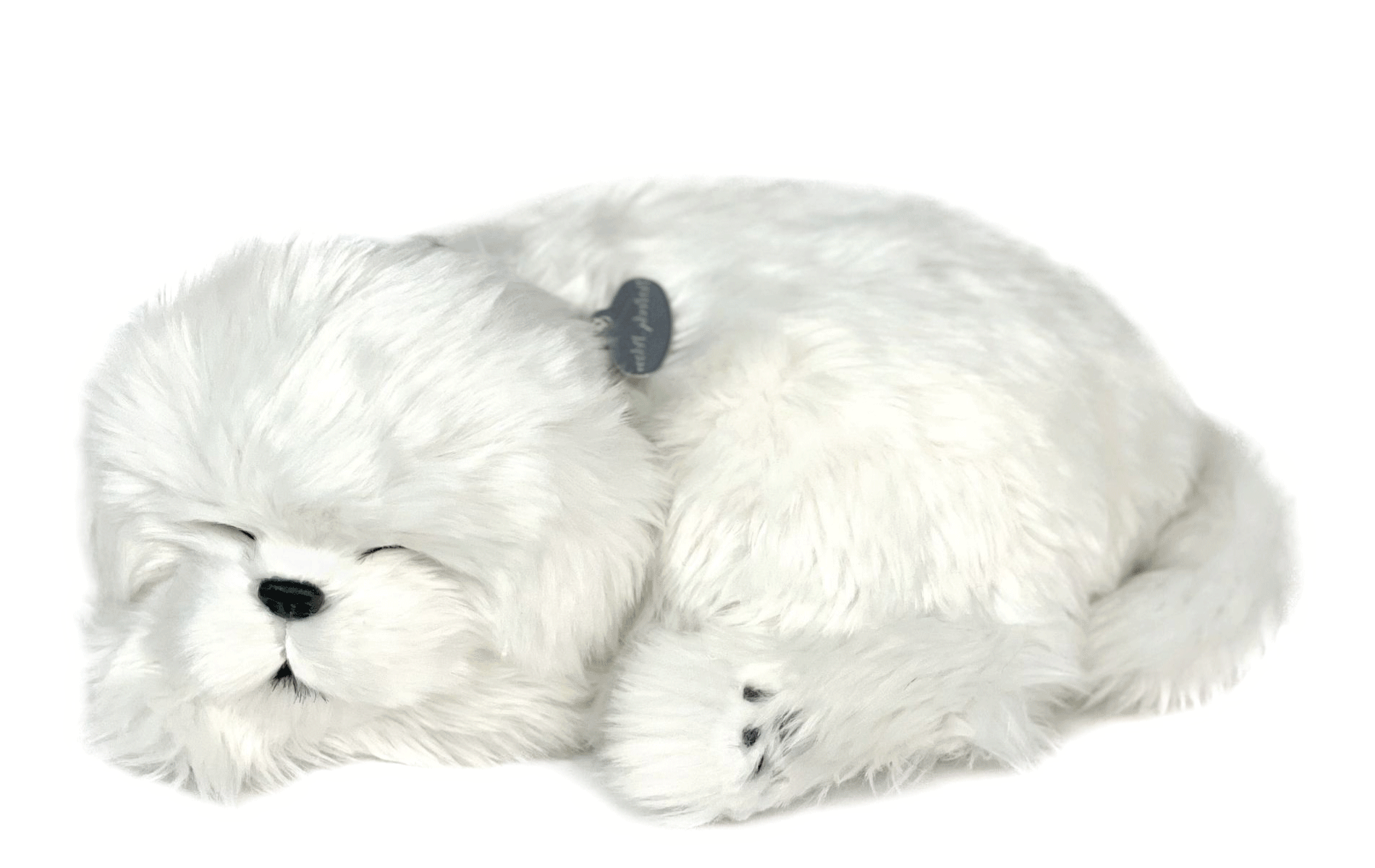 Perfect Petzzz Maltese - image 2