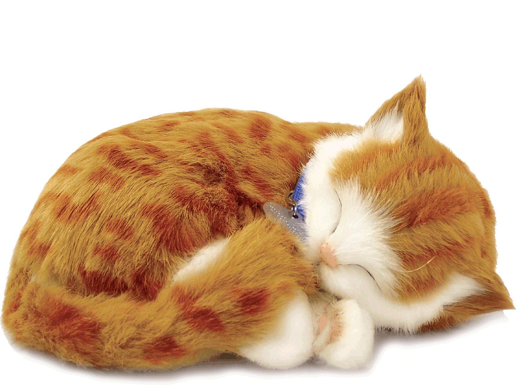 Original Orange Tabby Kitten Perfect Petzzz - image 2