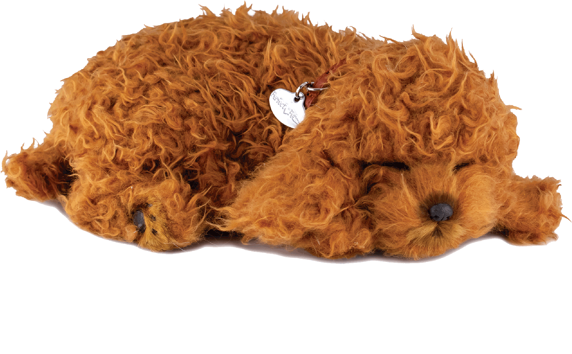Original Toy Poodle Perfect Petzzz - image 2