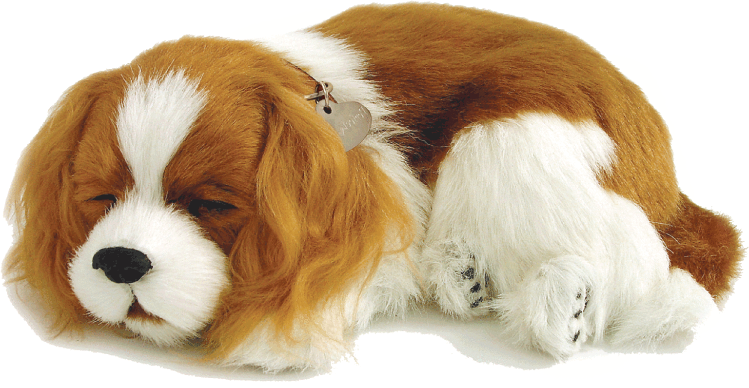 perfect petzzz cavalier king charles plush