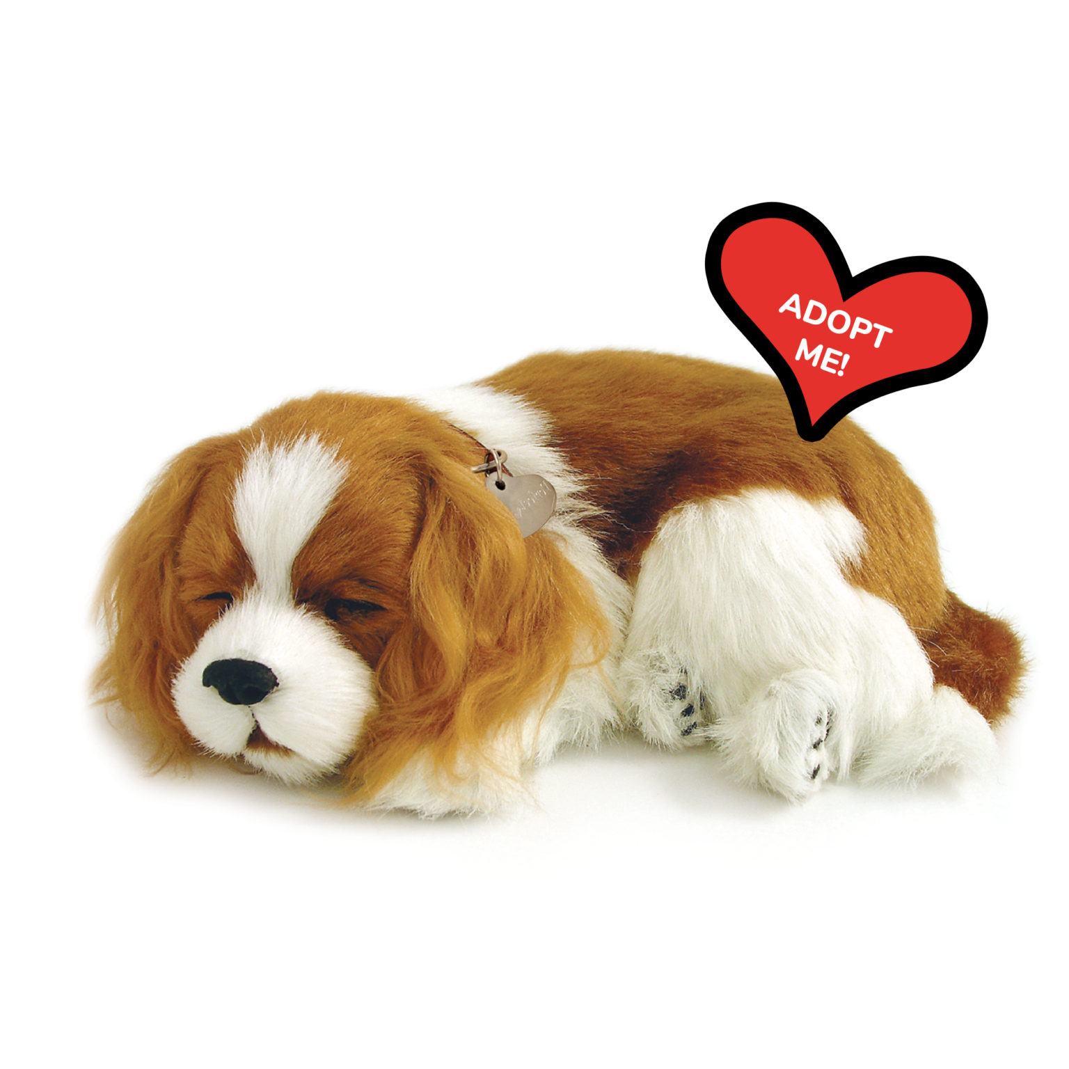 perfect petzzz cavalier king charles plush